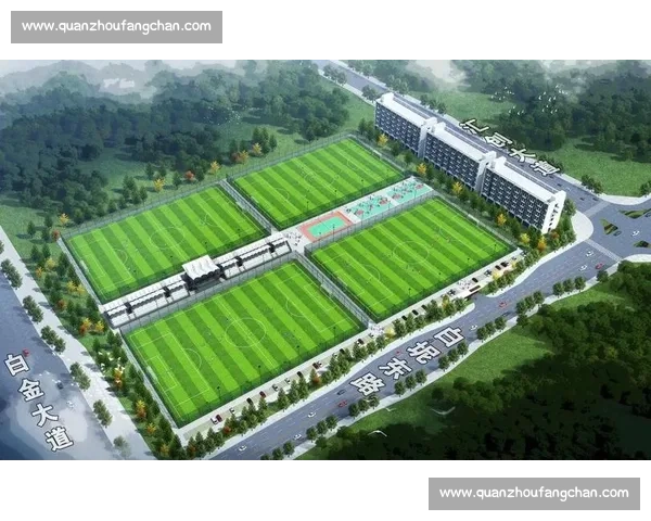 足球场地规划设计与功能布局创新发展路径探索实践与应用分析研究